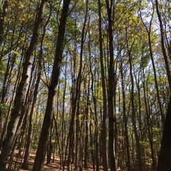 Hannacroix Preserve