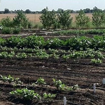 Happy Belly Farm - Community Service/Non-Profit Near Me - Brighton, Colorado