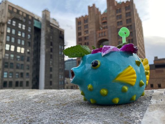 Pufferfish by null