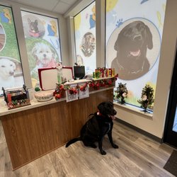 Golden Paws Pet Clinic - Ready for Holiday Season!!