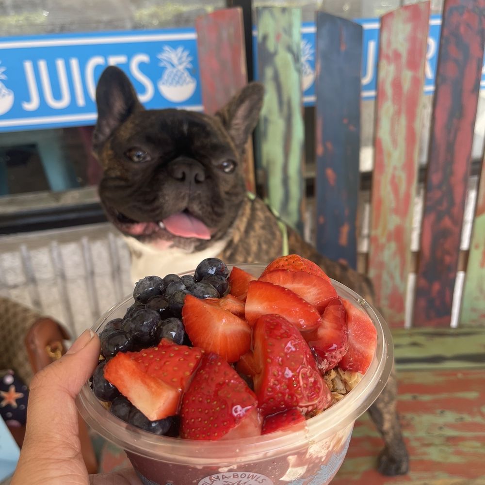Playa Bowls - La Pura Vida bowl - Juice Bars & Smoothies Near Me - Davie, Florida Playa Bowls - La Pura Vida bowl - Juice Bars & Smoothies Near Me - Davie, Florida