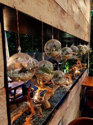 Hinoki & the Bird by null Hinoki & the Bird by null