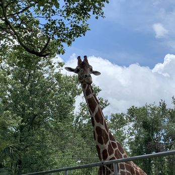 Tregembo Animal Park - Zoos Near Me - Wilmington, North Carolina Tregembo Animal Park - Zoos Near Me - Wilmington, North Carolina