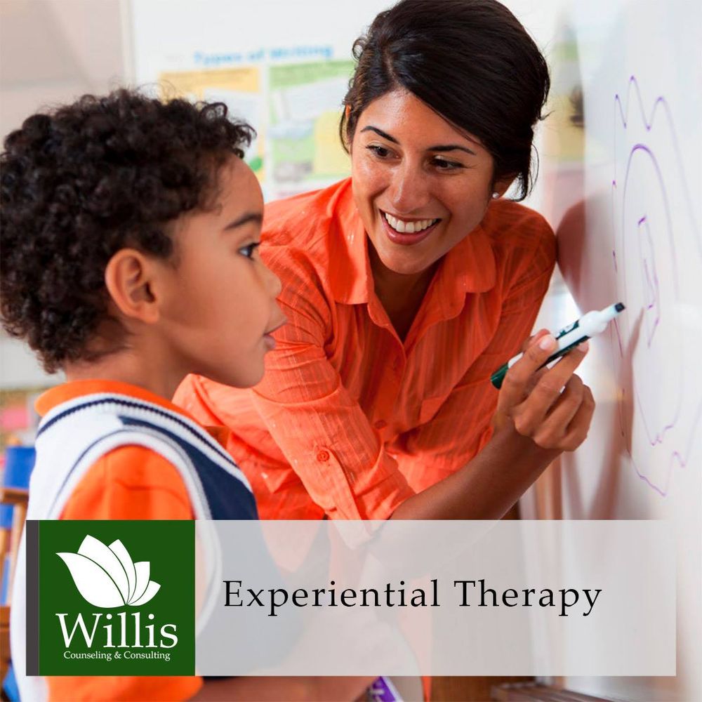Willis Counseling & Consulting - grief counselor in Naperville, IL