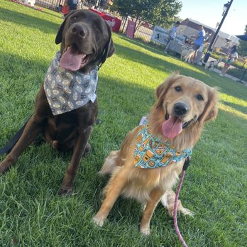Backpocket Brewing - Dog night! - Breweries Near Me - Coralville, Iowa