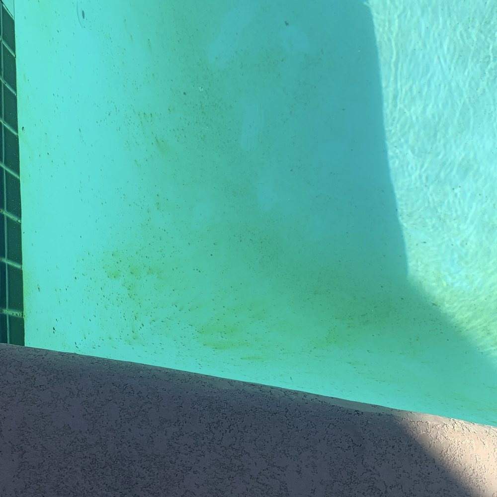 Gator Pools - Pool Cleaners Near Me - Las Vegas, Nevada