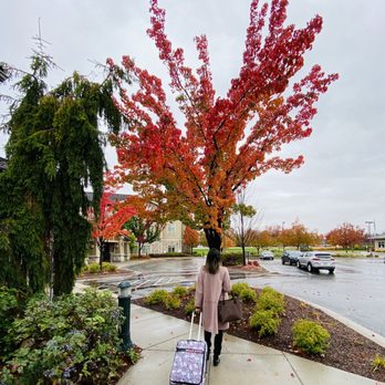 Hilton Garden Inn Boise/Eagle - Hotels Near Me - Eagle, Idaho