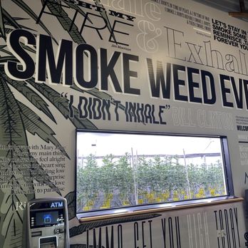 Hikei - Garden area - Cannabis Dispensaries Near Me - San Diego, California
