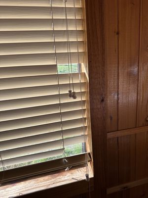 El Capitan Canyon by null