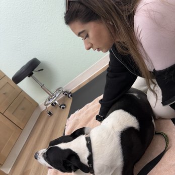 Revive Veterinary Care - Nice floor evaluation - Veterinarians Near Me - San Carlos, California Revive Veterinary Care - Nice floor evaluation - Veterinarians Near Me - San Carlos, California