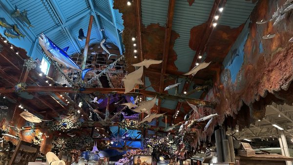 Dolphin Mall by null