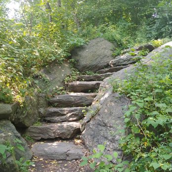Central Park Conservancy - North Woods - Parks Near Me - New York, New York