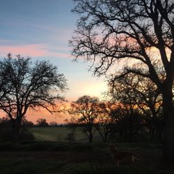The Cottage at Old Oak Ranch - Look at this view!!