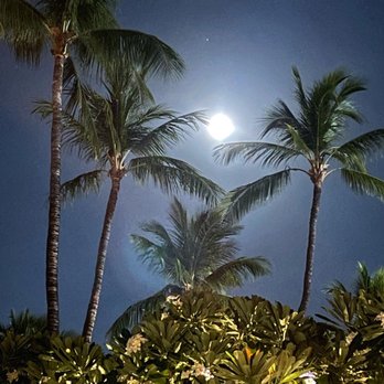 Manta - Upon our arrival, a full moon - Hawaiian Near Me - Kamuela, Hawaii Manta - Upon our arrival, a full moon - Hawaiian Near Me - Kamuela, Hawaii