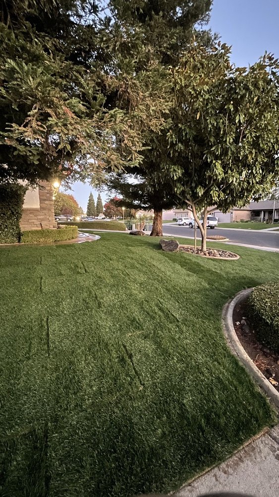 CALIFORNIA GREEN LANDSCAPE Bakersfield, California Landscaping