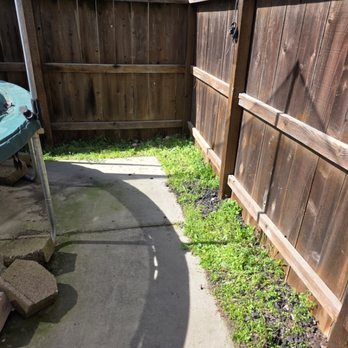 One Strong Man - Lathrop backyard clean-out after - Junk Removal & Hauling Near Me - Tracy, California One Strong Man - Lathrop backyard clean-out after - Junk Removal & Hauling Near Me - Tracy, California