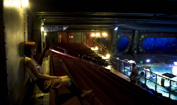 SEA LIFE Brighton by null