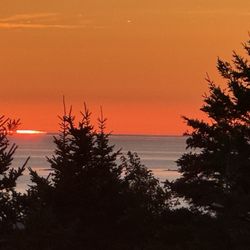 Cadillac Mtn Summit Shuttle
