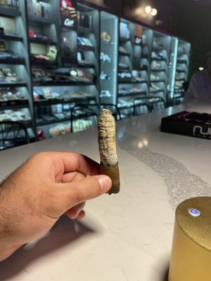 Coco Cigars by null
