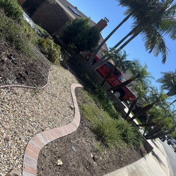 OC Tree Experts - Tree Services Near Me OC Tree Experts - Tree Services Near Me