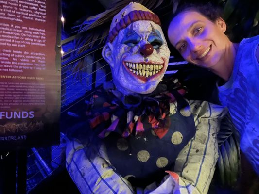 Jungle Island by null