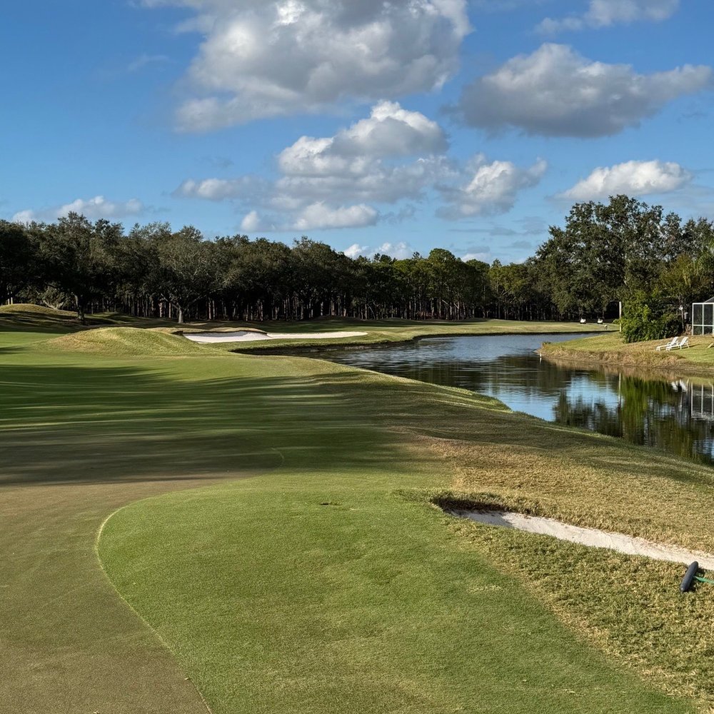 TPC Tampa Bay - Fairway - Golf Near Me - Lutz, Florida TPC Tampa Bay - Fairway - Golf Near Me - Lutz, Florida