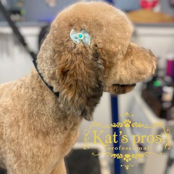Kat’s Professional Grooming - Pet Groomers Near Me - Holden Beach, North Carolina Kat’s Professional Grooming - Pet Groomers Near Me - Holden Beach, North Carolina