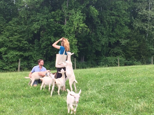 Caromont Farm by null