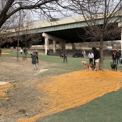 Fido Field - Turf area and some dry ground in the dog park in early March 2022, with dogs and people in the photo.