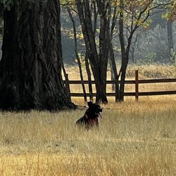 Fort Steilacoom Park