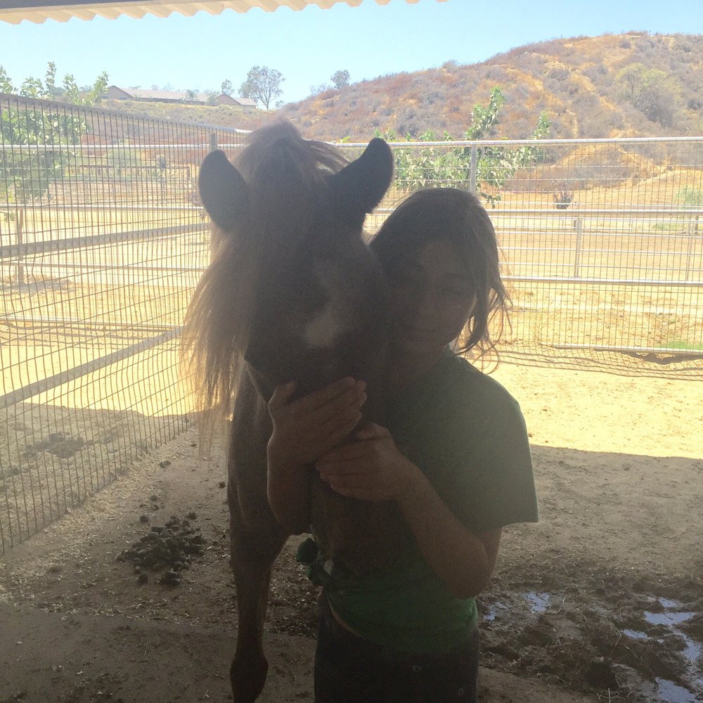 Breezeway Farms - Foxberry - Horseback Riding Near Me - Temecula, California