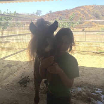 Breezeway Farms - Foxberry - Horseback Riding Near Me - Temecula, California