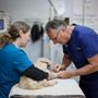 Photo of Country Veterinary Service