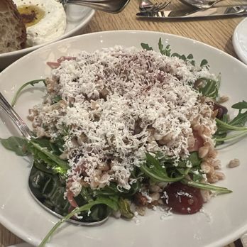 La Pecora Bianca - Farro Salad - Bars Near Me - New York, New York La Pecora Bianca - Farro Salad - Bars Near Me - New York, New York