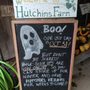 Hutchins Farm