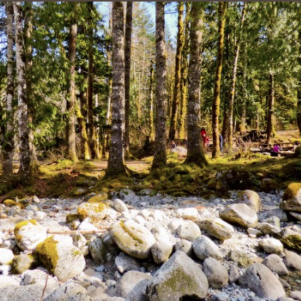 The Best 10 Campgrounds near Gold Bar Nature Trails in Gold Bar, WA Yelp