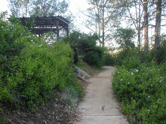 Presidio Park by null