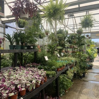 Seasons Nursery - Nurseries & Gardening Near Me - Gaithersburg, Maryland