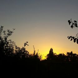 Obsthof am Steinberg - Abendstimmung mit bestem Licht