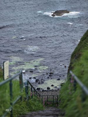 Dunluce Castle by null