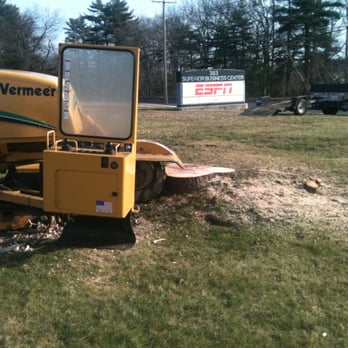 Stump Thumpers - Tree Services Near Me - Northfield, Connecticut