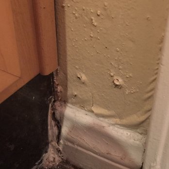 Dream Wall Design - Flood damage - Drywall Installation & Repair Near Me - Irvine, California