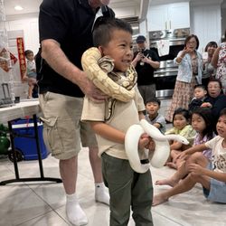 For Goodness Snakes