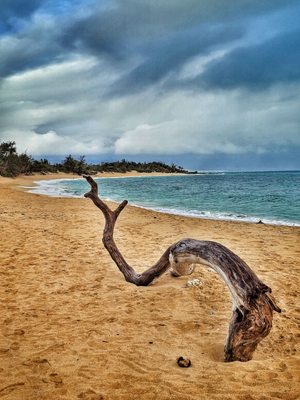 Baldwin Beach Park by null