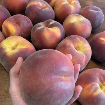 Cherry Hill Farms - U-Pick Peaches - Fruits & Veggies Near Me - Caldwell, Idaho Cherry Hill Farms - U-Pick Peaches - Fruits & Veggies Near Me - Caldwell, Idaho