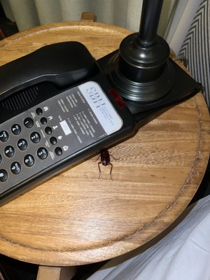 South Beach Hotel by null