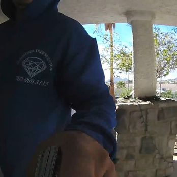 Diamond Tree Service - Harassment - Tree Services Near Me