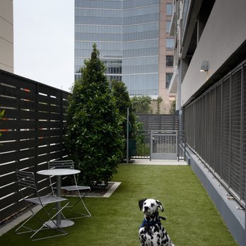 Kinley West LA - Outdoor Dog Run - Apartments Near Me - Los Angeles, California Kinley West LA - Outdoor Dog Run - Apartments Near Me - Los Angeles, California