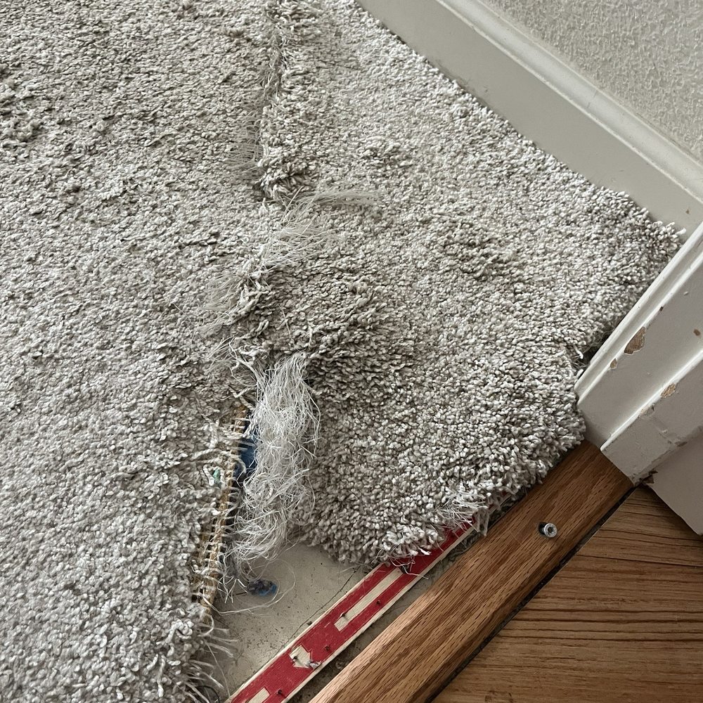 Michael's Carpet Care - Carpet Cleaning Near Me - Citrus Heights, California