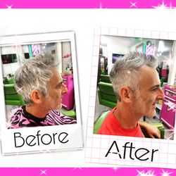 Bar Bee Shop - Silver fox